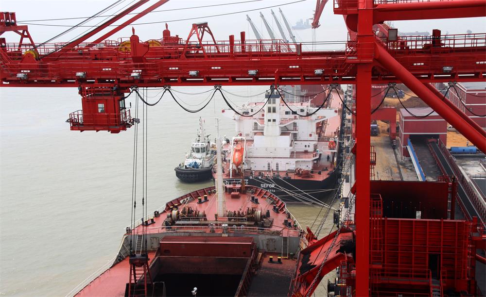 2010年7月8日两艘6万吨级货轮首次同时靠泊大丰港.jpg
